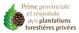 Prime provinciale aux plantations forestières privées